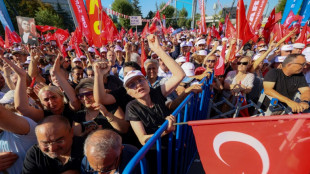 Tens of thousands join Ankara protest ahead of court showdown