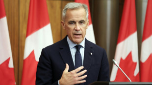 Kanadas Premier Carney zu ukrainischem Unabh&auml;ngigkeitstag in Kiew