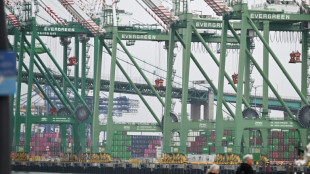 Trump's tariffs bite at quiet US ports