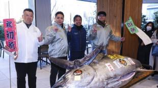 Un at&uacute;n rojo se vende en m&aacute;s de un mill&oacute;n de d&oacute;lares en una subasta en Jap&oacute;n