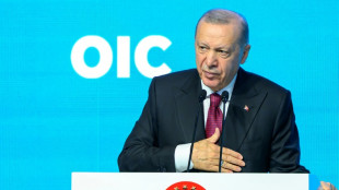 Presidente turco elogia decisão de Macron de reconhecer Estado palestino