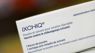 Chikungunya &agrave; La R&eacute;union et Mayotte: les autorit&eacute;s retirent de la vaccination les plus de 65 ans
