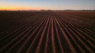 Zimbabwe farmers seek US help over long-promised payouts