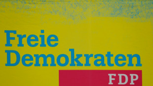 FDP-Fraktion empfiehlt Akw-Laufzeitverl&auml;ngerung mit neuen Brennst&auml;ben