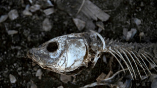 Importante estanque de Chile agoniza tras a&ntilde;os de sequ&iacute;a