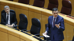 La polic&iacute;a espa&ntilde;ola, en el punto de mira por las supuestas infiltraciones &iacute;ntimas