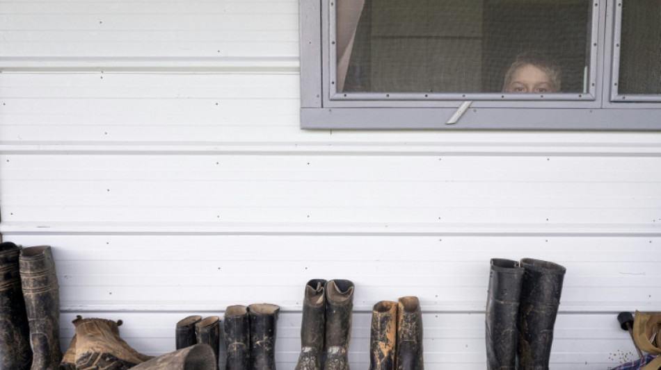 Fiscal&iacute;a llevar&aacute; a juicio a menonitas por deforestaci&oacute;n en Colombia