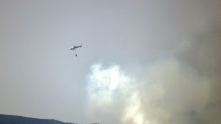 Incendies: chez les sinistr&eacute;s espagnols, la col&egrave;re monte contre la gestion des autorit&eacute;s 