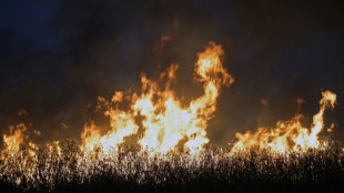 Los incendios forestales se duplicaron en todo el mundo en 20 a&ntilde;os