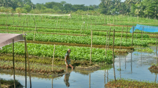Historias de prensa de todo el mundo sobre la crisis clim&aacute;tica, premiadas por una ONG
