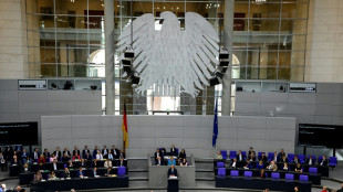 AfD nominiert Kandidaten f&uuml;r Ausschussvorsitz - Scheitern bei Wahl wahrscheinlich