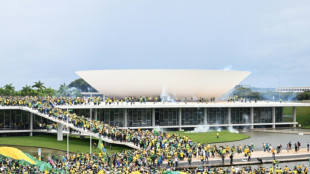 Bolsonaro bei Anh&ouml;rung zu Sturm auf Parlament und Pr&auml;sidentenpalast in Bras&iacute;lia
