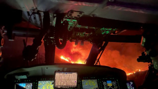 "Aterrador": la operaci&oacute;n que combati&oacute; desde el aire las llamas en Los &Aacute;ngeles