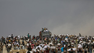 Wafa, 17 morti a Gaza in attacchi Idf, 11 cercavano aiuti