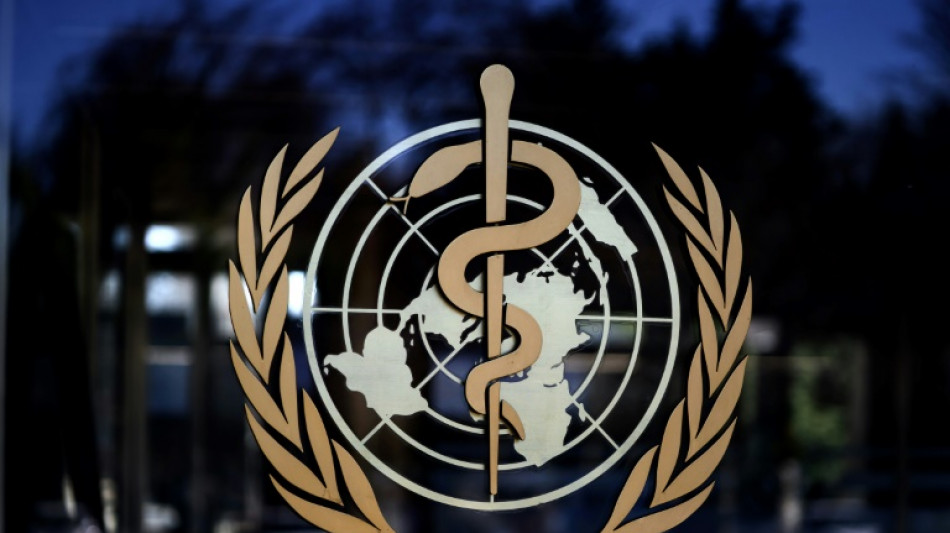 Ocho muertos por un posible brote del virus de Marburgo en Tanzania, seg&uacute;n la OMS