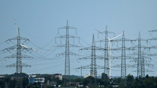 Strompreis: Übertragungsnetzbetreiber bestätigen deutliche Absenkung der Netzentgelte