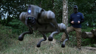 C&atilde;es-rob&ocirc;s ajudar&atilde;o soldados ucranianos no 'front'