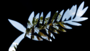 Festival de Cannes come&ccedil;a em momento de den&uacute;ncias contra abusos no cinema franc&ecirc;s