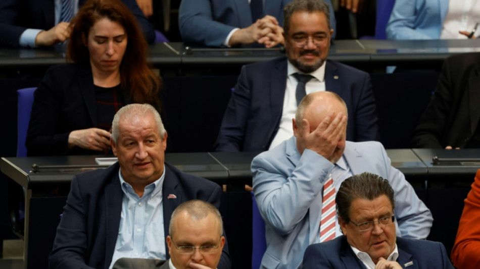 Bundesverfassungsgericht: Kein Anspruch von AfD auf Vorsitz von Bundestagsaussch&uuml;ssen