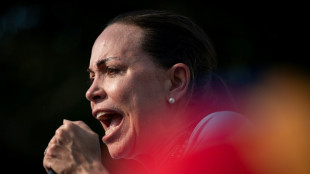 Autoridades vinculam opositora venezuelana a 'a&ccedil;&otilde;es desestabilizadoras'