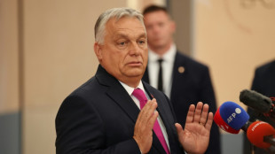 AI content proliferates in Hungary ahead of next year's elections
