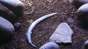 Scoperto il boomerang pi&ugrave; antico d'Europa