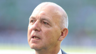 WM-Vergabe: DFB-Spitze f&uuml;hrt Gespr&auml;che in Saudi-Arabien