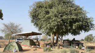 Dans le nord du Togo, une discr&egrave;te pouss&eacute;e jihadiste depuis le Burkina