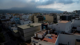 La isla espa&ntilde;ola de La Palma sufre un apag&oacute;n total de tres horas