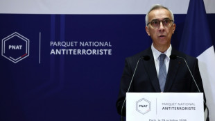 Atirador franc&ecirc;s abriu fogo intencionalmente contra mu&ccedil;ulmanos e africanos