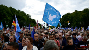 Miles de personas se manifiestan en Berl&iacute;n en apoyo a Gaza