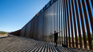 Muro de EEUU detiene la migraci&oacute;n de animales bajo amenaza, lamenta ONG