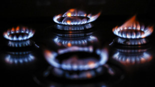In netto calo il valore dell'indice italiano del gas