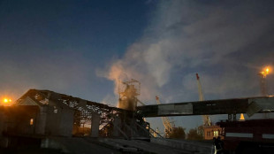 Russia hits Ukraine grain export route near Romania