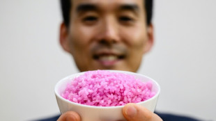 Cient&iacute;ficos surcoreanos crean un "arroz carnoso" con alto contenido de prote&iacute;nas