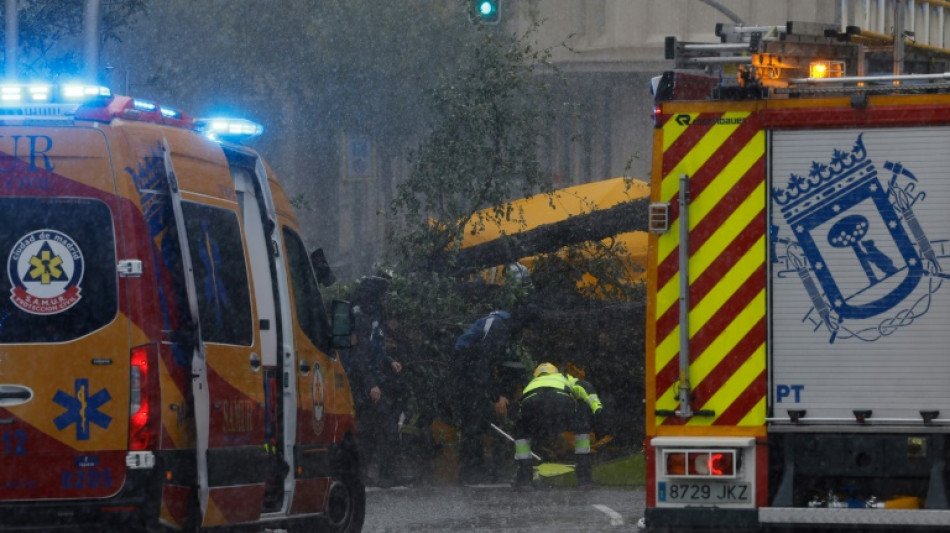 La temp&ecirc;te Ciaran fait au moins 10 morts et perturbe les transports en Europe