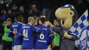 Schalke siegt im Kellerduell gegen Osnabr&uuml;ck