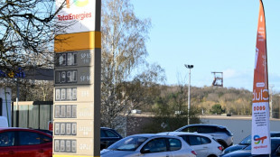 EU says 'necessary' to reduce fuel demand to cope with energy crisis