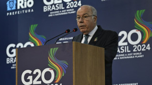 En pleine guerre dans la bande de Gaza, la solution &agrave; deux Etats pouss&eacute;e au G20