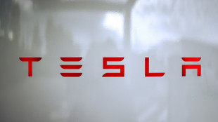 Norwegischer Staatsfonds will gegen Tesla-Vergütungsplan für Elon Musk stimmen