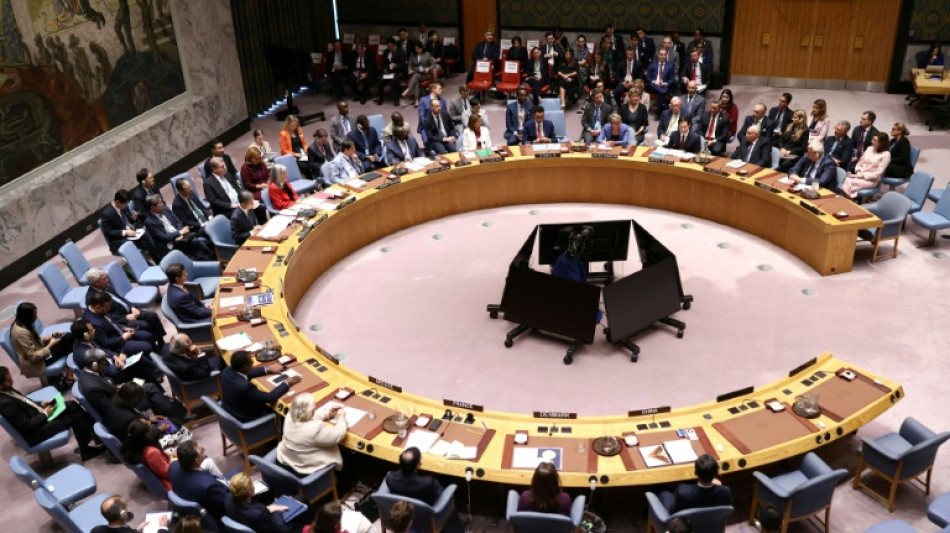 Vote attendu du Conseil de sécurité de l'ONU pour autoriser une force internationale à Gaza