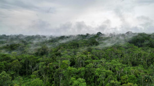 Corte Interamericana condena a Ecuador por violar derechos de ind&iacute;genas que viven aislados