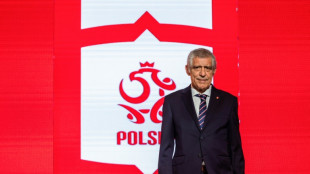 El exseleccionador portugu&eacute;s Fernando Santos pasa a ser t&eacute;cnico de Polonia