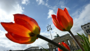 Volksbegehren "Berlin autofrei" wegen zu weniger Unterschriften gescheitert