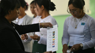 Myanmar pro-military party 'winning' junta-run poll first phase: source