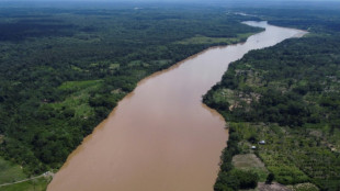 Enero de 2022, el mes m&aacute;s ardiente para la Amazon&iacute;a colombiana en una d&eacute;cada