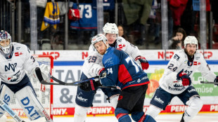 Adler fordern die Eisb&auml;ren im Viertelfinale