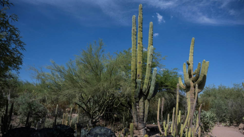 Biden to tout climate policy in visit to baking US southwest