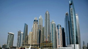 Z&eacute;ro imp&ocirc;t et luxe &agrave; gogo: Duba&iuml; aimante les millionnaires