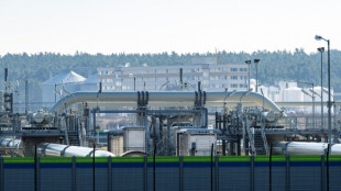 Bundesnetzagentur f&uuml;rchtet Totalausfall der russischen Gaslieferungen